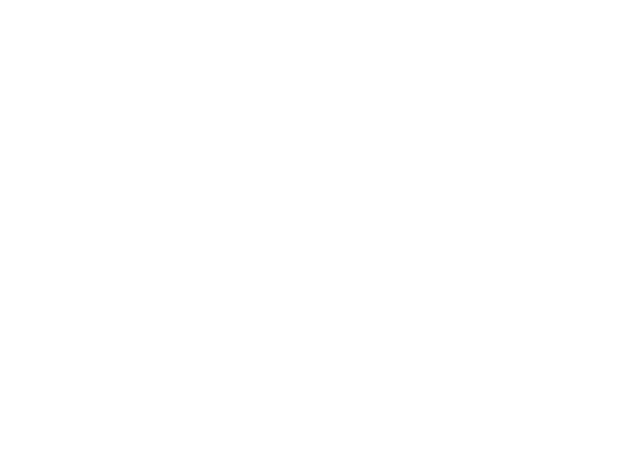 GLOBAL ARMS
